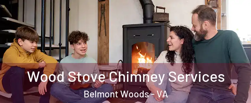 Wood Stove Chimney Services Belmont Woods - VA