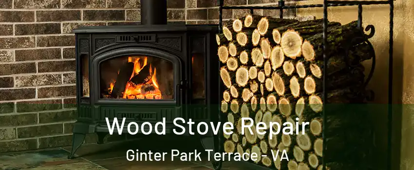 Wood Stove Repair Ginter Park Terrace - VA